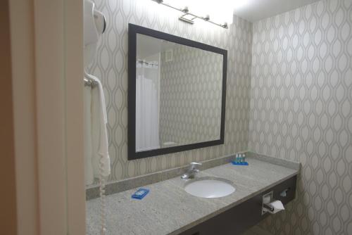 安德森安德森I-85号智选假日酒店（81号高速公路27号出口）的一间带水槽和镜子的浴室