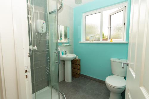 利斯本PondeROSEa Cottage Free Gated Parking M1 & City location, wood stove的蓝色的浴室设有卫生间和水槽