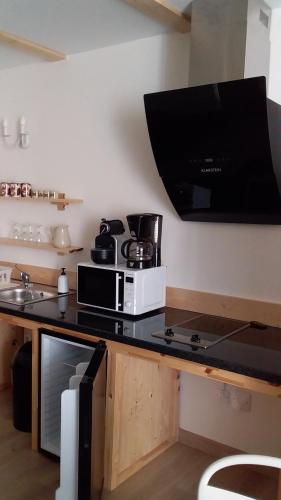 Saint-Jean-Saint-NicolasJoli studio sympa的厨房配有炉灶和微波炉。