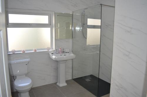 巴利卡斯尔Drumahaman Cottage的浴室配有卫生间、盥洗盆和淋浴。