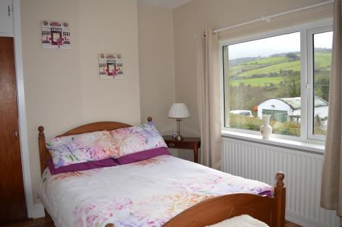 巴利卡斯尔Drumahaman Cottage的一间卧室设有一张床和一个美景窗户。