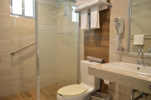 伊达尔戈州波萨里卡hotel villa magna poza rica的浴室配有卫生间、盥洗盆和淋浴。