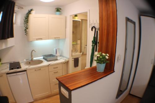 奥帕提亚Amorino Apartman Studio的一个带水槽和柜台的小厨房