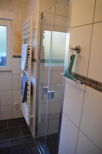 UrbarFerienwohnung 554 - Urbar, vis-à-vis der Loreley的浴室里设有玻璃门淋浴
