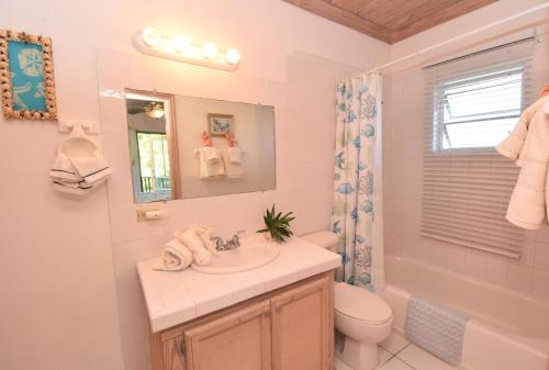 哈勃岛甜苹果公寓式酒店的一间带水槽、卫生间和镜子的浴室