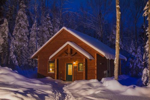 米德尔堡Robert Frost Mountain Cabins的夜晚雪中的一个小屋