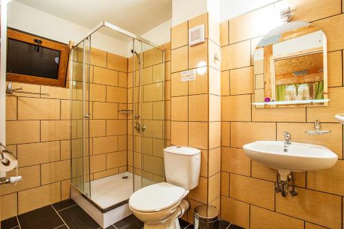 Stara KresnaDebeli Dab的浴室配有卫生间、盥洗盆和淋浴。