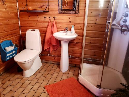 艾尔夫斯宾Skatauddens Lantgård的浴室配有卫生间、盥洗盆和淋浴。