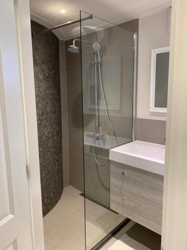 阿姆斯特丹Kangaroom的一间带玻璃淋浴和水槽的浴室