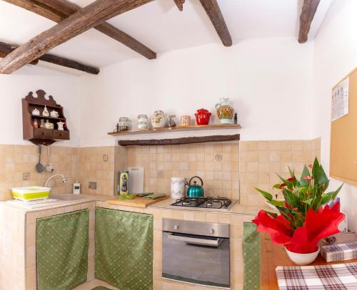 圣雷莫Domus Napoleone Bonaparte的厨房配有水槽和炉灶 顶部烤箱