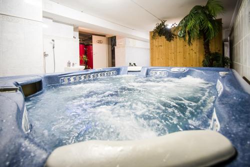 普列维扎Hotel Squash Centrum的水浴室内的按摩浴缸