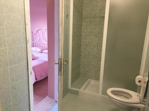 诺切劳恩布拉Appartamenti Monte Alago的带淋浴和卫生间的浴室。