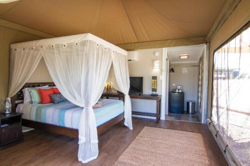 达博Dubbo Rhino Lodge的一间卧室配有一张带天蓬的床