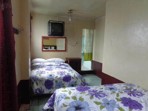 危地马拉Hotel Landivar Zona 7的卧室配有一张床,墙上配有电视。