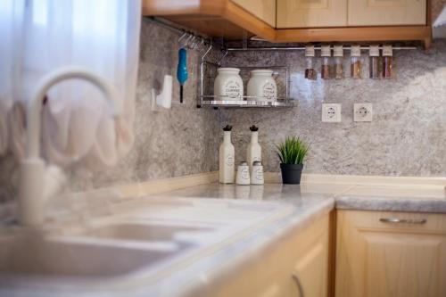 VarypatádesSlope & Stone Cozy House的厨房柜台设有水槽和墙上的瓶子