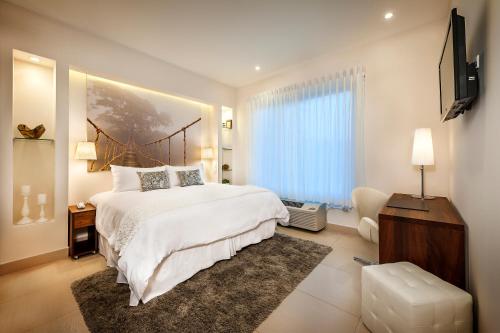 马那瓜元素精品酒店 的一间卧室配有一张大床和电视