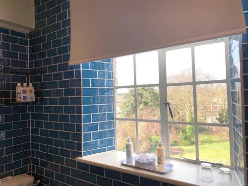 汤顿城堡酒店的蓝色瓷砖浴室设有水槽和窗户