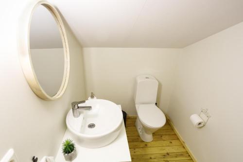 ÞingeyjarsveitOriginal North的一间带水槽、卫生间和镜子的浴室
