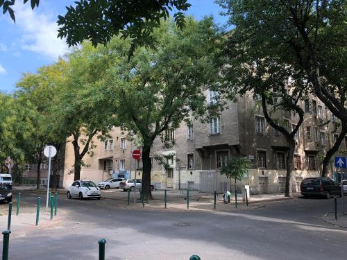 布达佩斯Kincsem Budapest Apartman的树木和汽车停在大楼前的街道