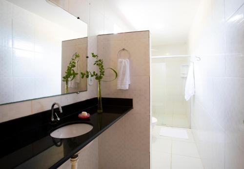 马拉塔伊济斯Pousada dos Gravatais的一间带水槽和淋浴的浴室