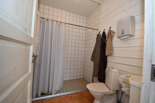 ForsKolarbogård的一间带卫生间和淋浴的浴室