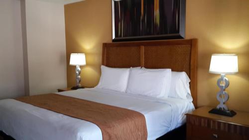 威廉姆斯美国摄政酒店 的酒店客房设有一张大床和两盏灯