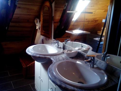 布里阿尔Marie-Claire la grillade的浴室设有2个水槽和镜子