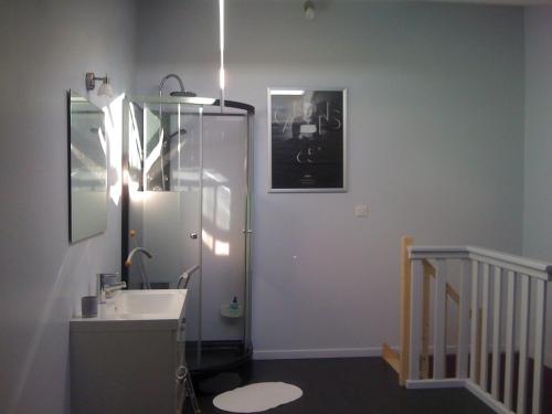 谢瓦布朗克米兰红磨坊阁楼酒店的浴室配有盥洗盆和带镜子的淋浴