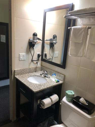 布鲁克林The Vue Inn Brooklyn的一间带水槽、镜子和卫生间的浴室