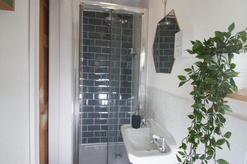 达特茅斯St Elmo House的浴室设有水槽和植物淋浴