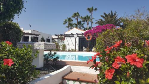 科拉雷侯La Concha del Mar的一座带游泳池和一些鲜花的房子