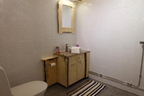 拉克塞尔夫Wild Caribou Dome的一间带卫生间、水槽和镜子的浴室