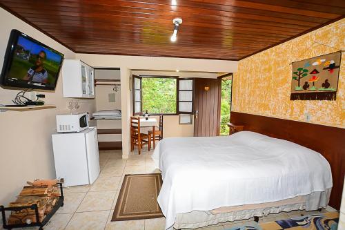 蒙特韦尔迪Chalés Leopoldo em Monte Verde的一间卧室配有一张床和一台电视