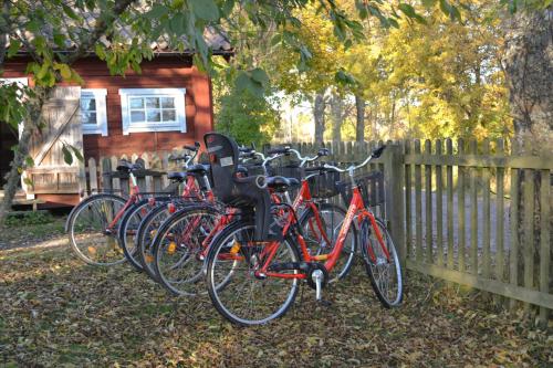 ArholmaBull-August gård vandrarhem/hostel的停在房子前面的一群自行车