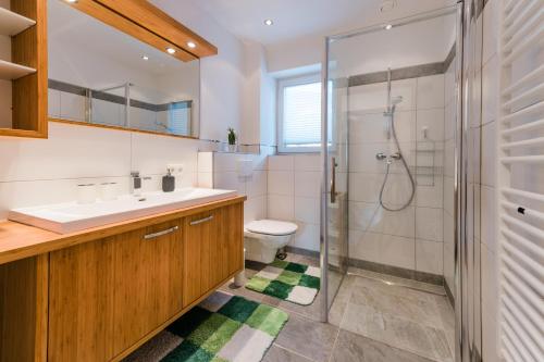 阿尔滕马克特蓬高Appartment Sorgenfrei的浴室配有盥洗盆、卫生间和淋浴。