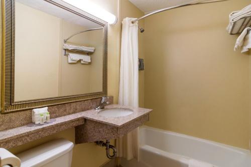 欧文顿Red Carpet Inn Newark - Irvington NJ的一间带水槽、浴缸和镜子的浴室
