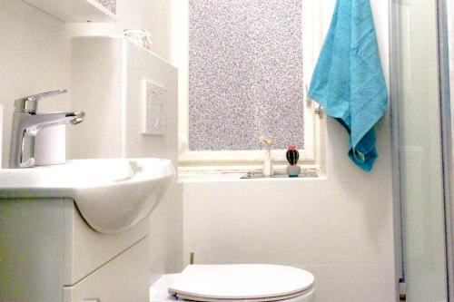 里耶卡Fluminis rooms的一间带卫生间、水槽和窗户的浴室