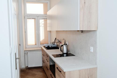 卢布林Rodmos Hostel的厨房配有白色橱柜和台面