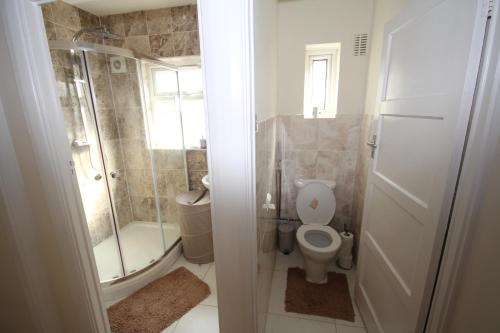 莱斯里普Deane House的一间带卫生间和淋浴的小浴室