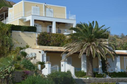 文托泰内Hotel Agave e Ginestra的前面有棕榈树的房子
