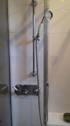 图尔奈Villa Tournesol的浴室内配有淋浴和头顶淋浴