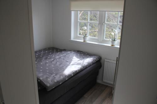 孔斯巴卡Stuga på Hammarbergs Gård的一间小卧室,窗户上设有一张床