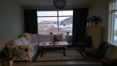 HrafnabjorgHrafnabjörg 4的带沙发、桌子和窗户的客厅