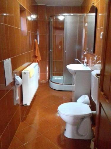 OcolişCasa din prund Ocolis的浴室配有卫生间、盥洗盆和淋浴。