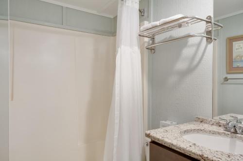 纳格斯黑德Tar Heel Motel的一间带水槽和淋浴帘的浴室