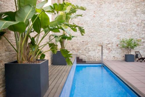 巴塞罗那奧尼克斯里塞欧酒店的一座种植了植物的游泳池