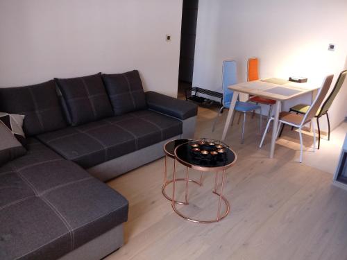 卢布林Bruxapart的客厅配有沙发和桌子