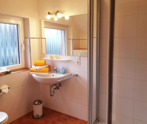 维林根Ferienwohnungen Tannenhof的一间带水槽和淋浴的浴室