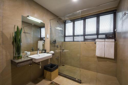 埃拉Anasa Wellness Resort的一间带水槽和淋浴的浴室