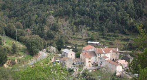 Santa-Lucia-di-MercurioA Stella, une cabane de berger pour une expérience insolite的山丘上一排房子,有路